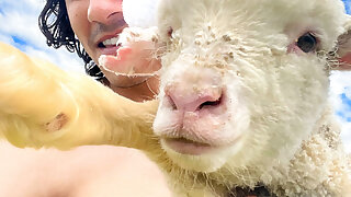 184 Pacific Islander Muscle beauty BrownBoyNZ Onlyfans Leaked