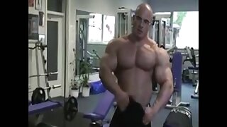 Raging muscle bull fully pumped up