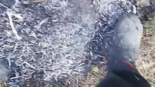 Made mud from water and ash
