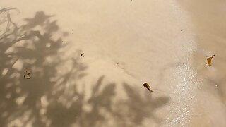 Big dick guy exihb a big dick