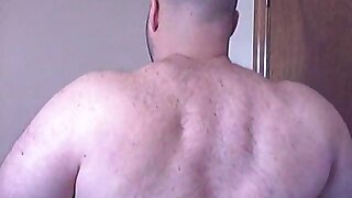Bull Muscle Back