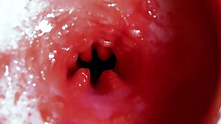 What happens during Cumshot in an Anus